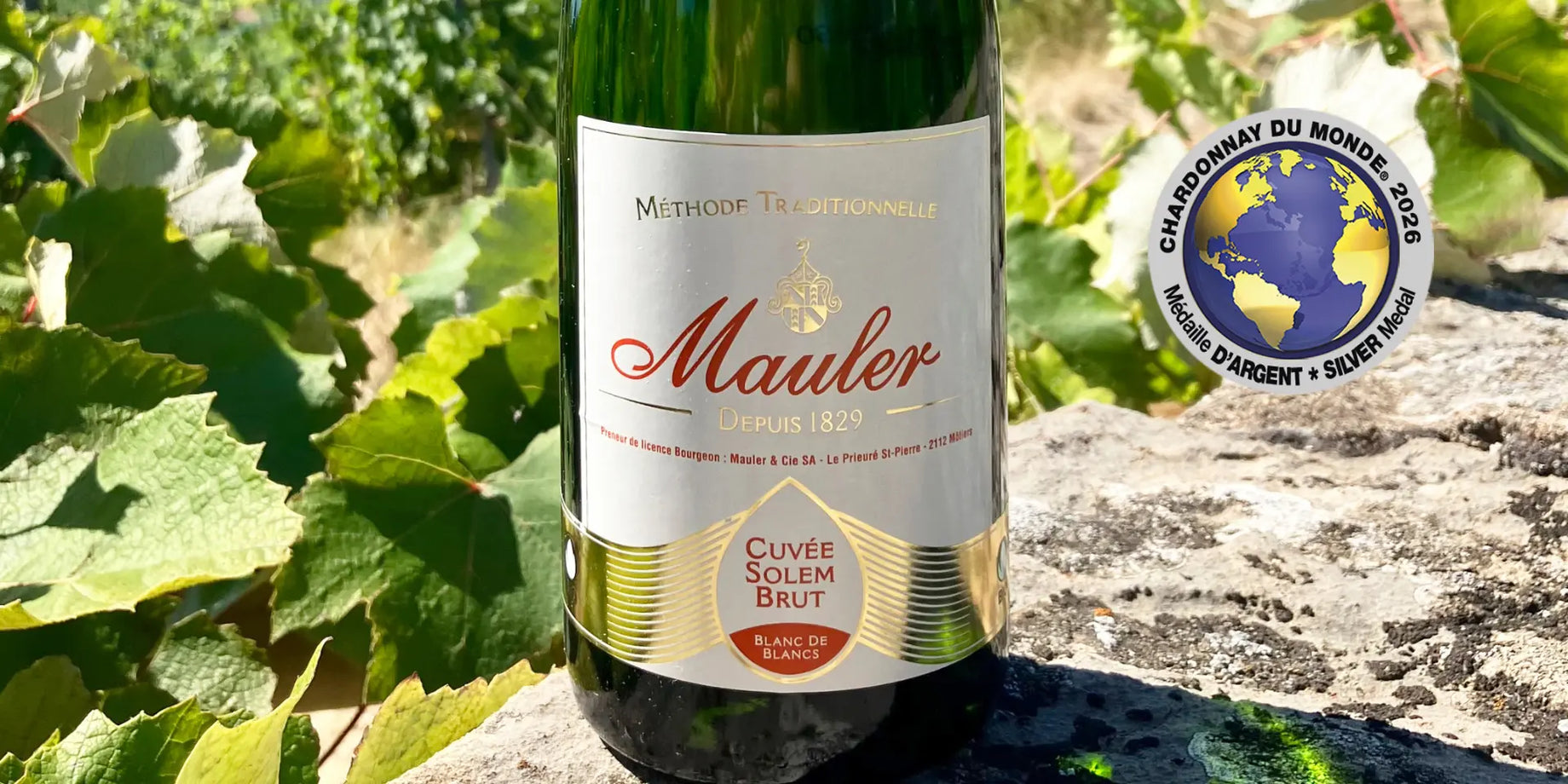 Eine Silbermedaille für unseren „Solem Brut Bio“ bei den „Meilleurs Chardonnay du Monde 2026“