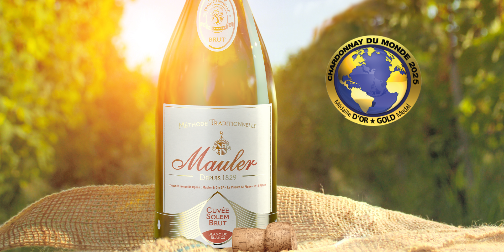 Notre cuvée Solem brille une nouvelle fois !