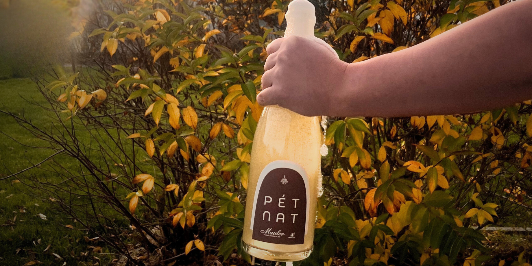 Nouveauté Mauler : le Pétillant Naturel AOC Neuchâtel