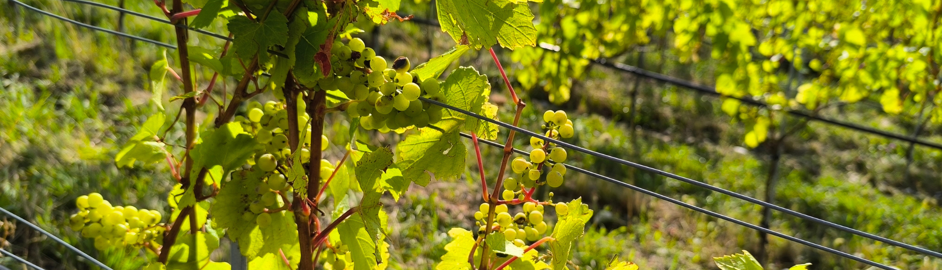 Produits Partenaires